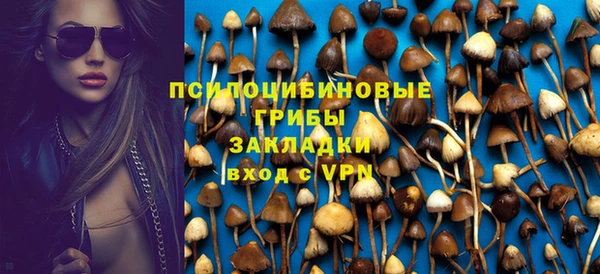 тгк Абинск