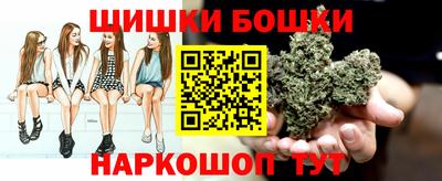 прущие грибы Пушкино