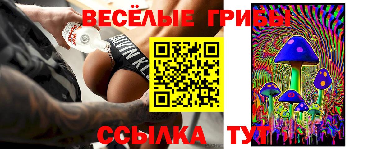 Аксай  Псилоцибиновые грибы Magic Shrooms  Псилоцибиновые грибы Magic Shrooms  Вход с VPN 